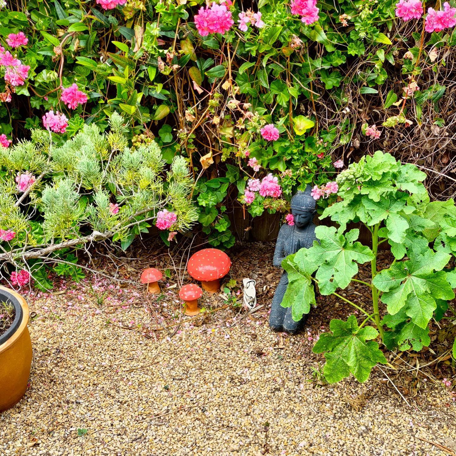 Gumnut Getaway Bnb Goolwa North Dış mekan fotoğraf